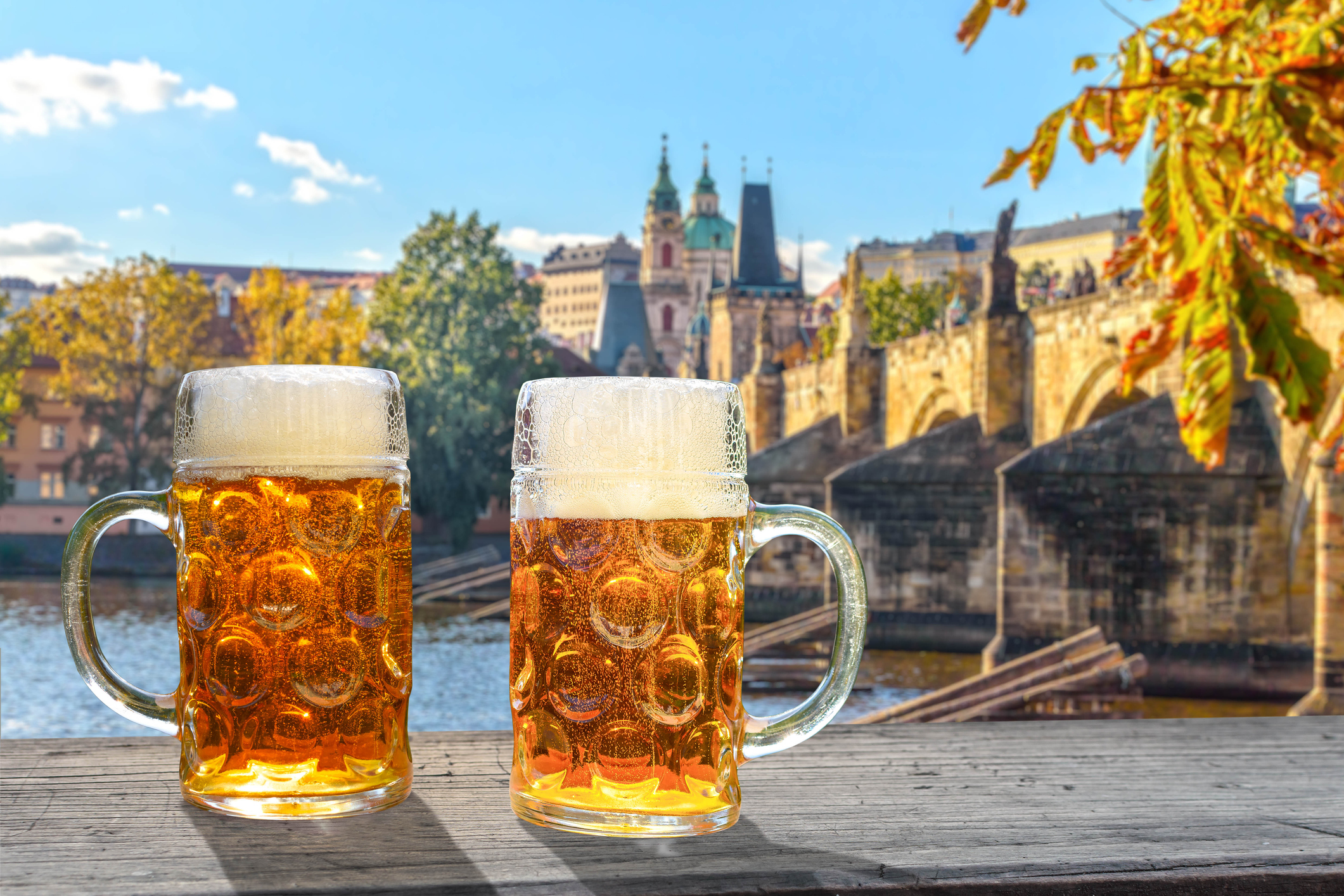 Czech Beer